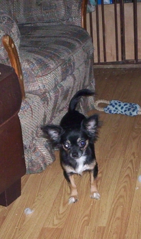Betty