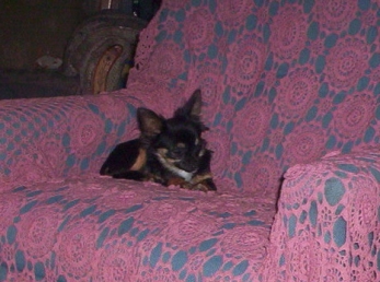 Betty